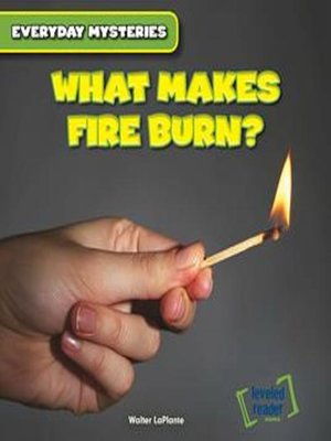 cover image of What Makes Fire Burn?